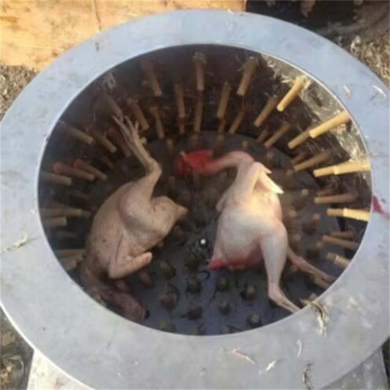 Chicken Plucker Machine - Nowa maszyna do usuwania pierza z